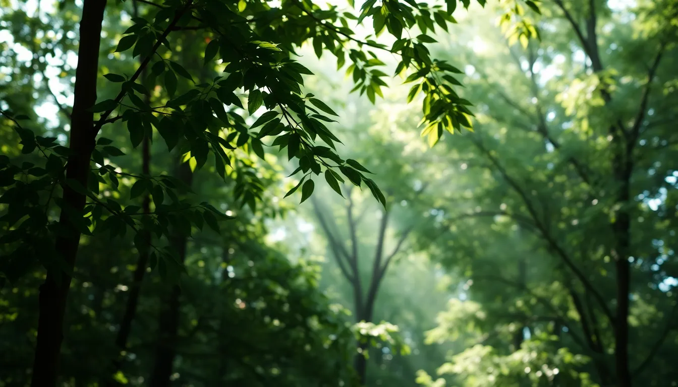 주식 시장의 상승과 하락을 나타내는 그래프 이미지